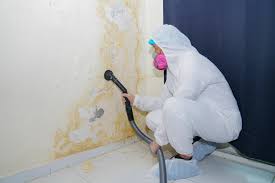 Mold Removal for HVAC Installations in El Lago, TX